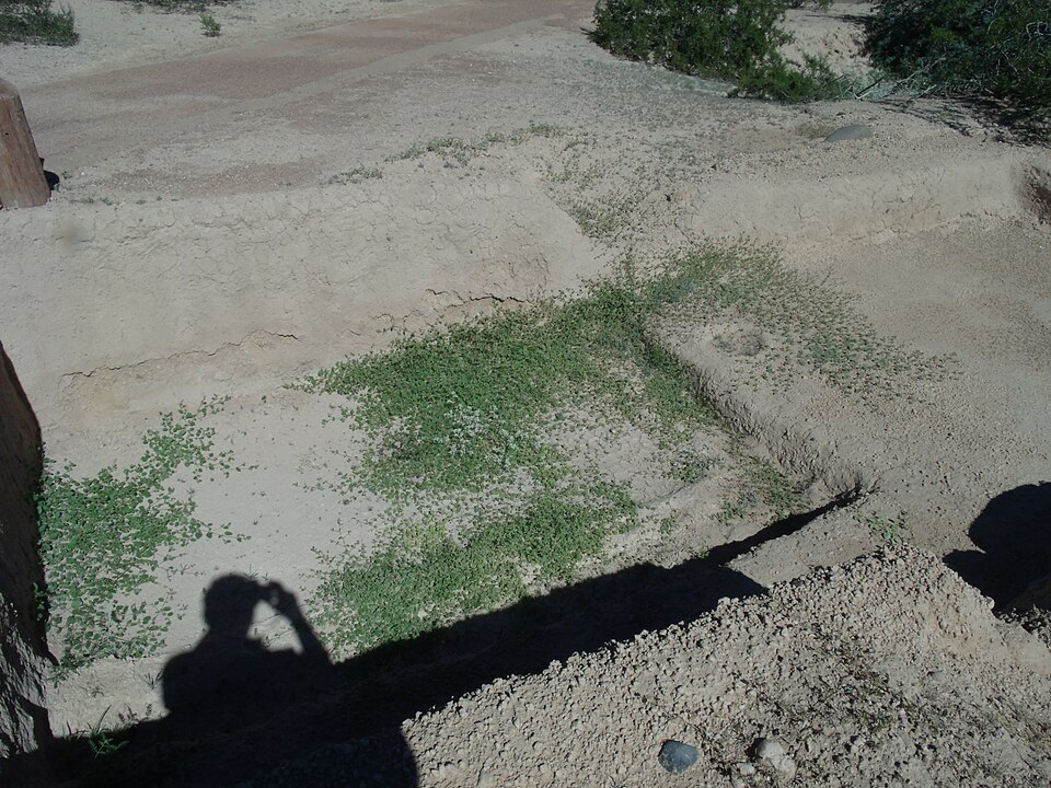 Hohokam irrigation canal ruins Mesa Grande
