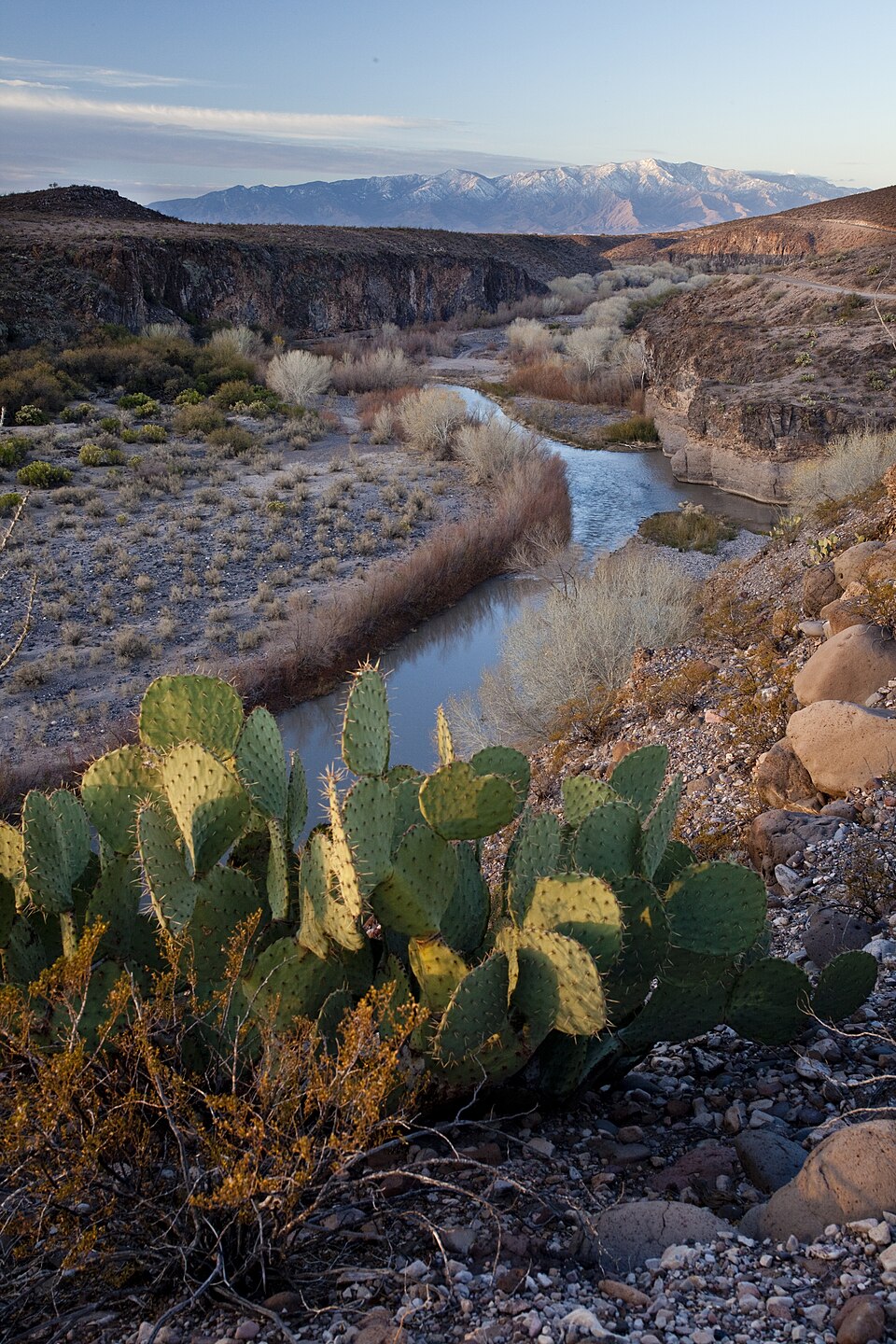 Gila River in Arizona