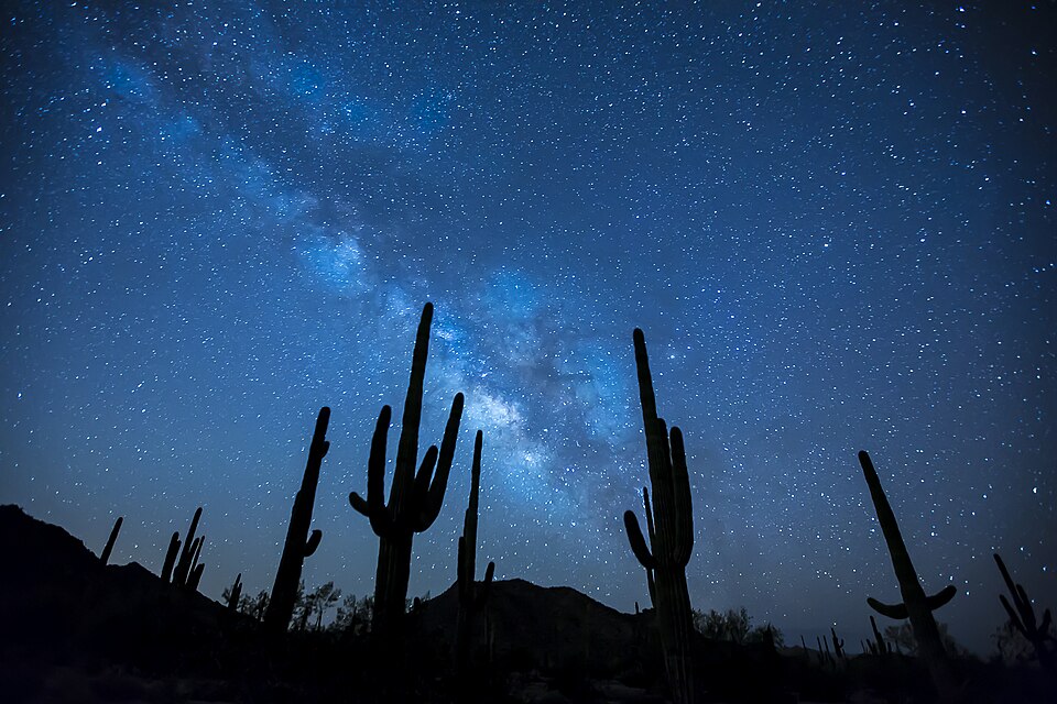 Sonoran Desert National Monument landscape